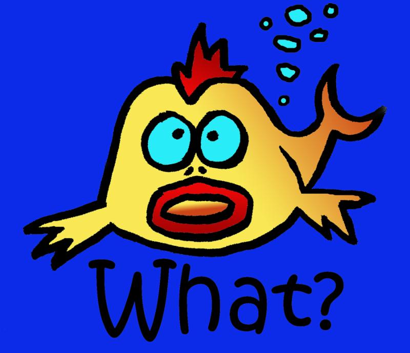 Silly yellow fish asking the question what 