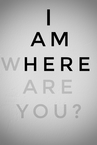 I am here.  Where are you?